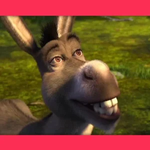 Morre o Burro que serviu de inspiração para Shrek aos 30 anos