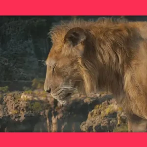 O Rei Leão: Novo filme resolve mistério que durou 30 anos