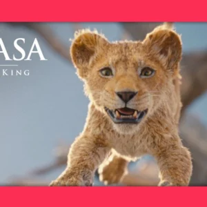 Mufasa é indicado ao Framboesa de Ouro
