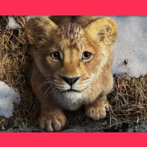 A heroica recuperação de Mufasa: O Rei Leão nas bilheterias