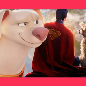 Krypto: Antes de Superman, o Supercão protagonizou o seu próprio filme