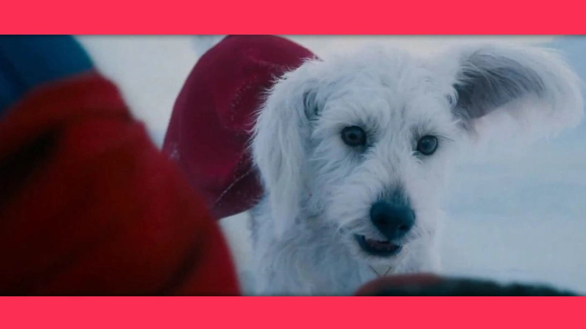 Krypto