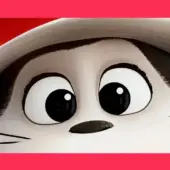 O Gato da Cartola banner