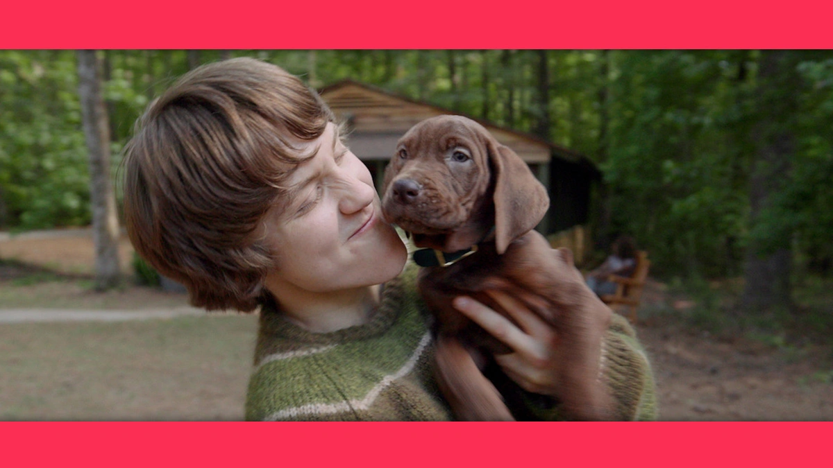 Scooby-Doo: A Origem, live-action da Netflix, ganha seu primeiro trailer