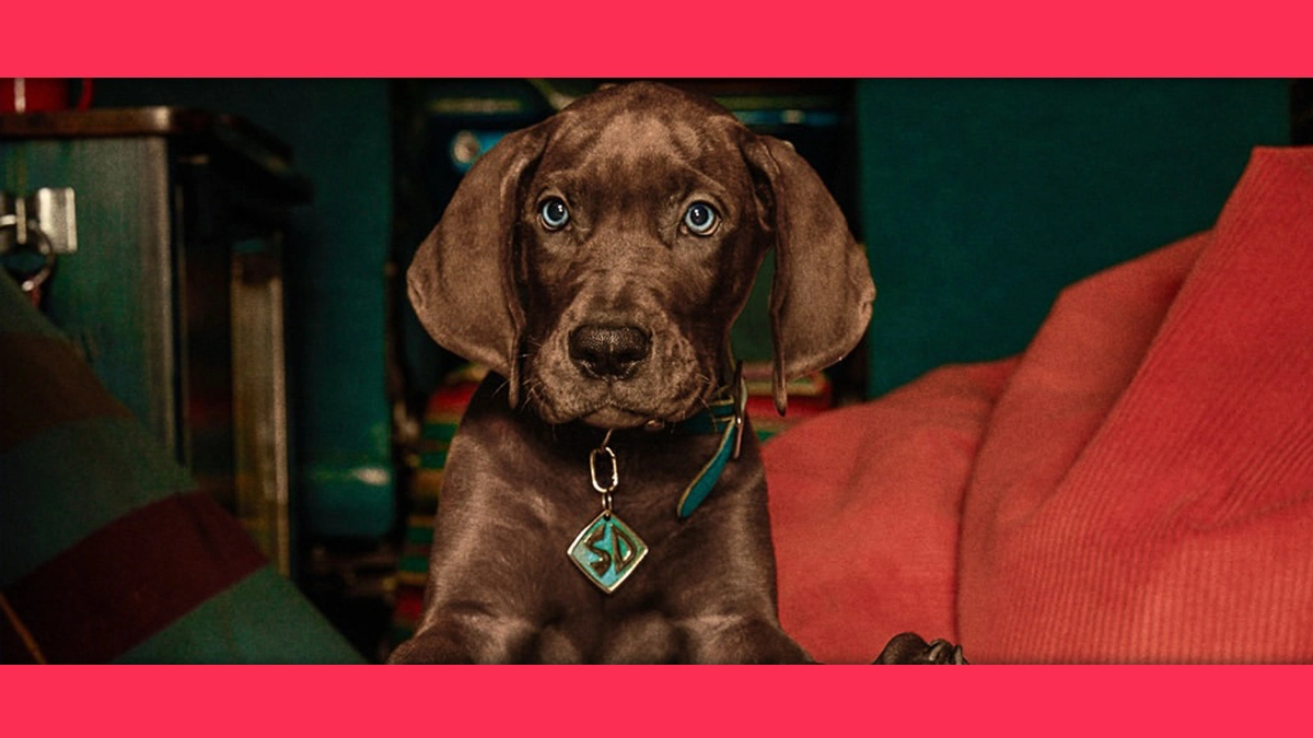 'Scooby-Doo: A Origem' já concluiu gravações e ganhou imagens de bastidores